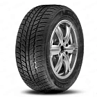 Maxxis RXFrost WH01